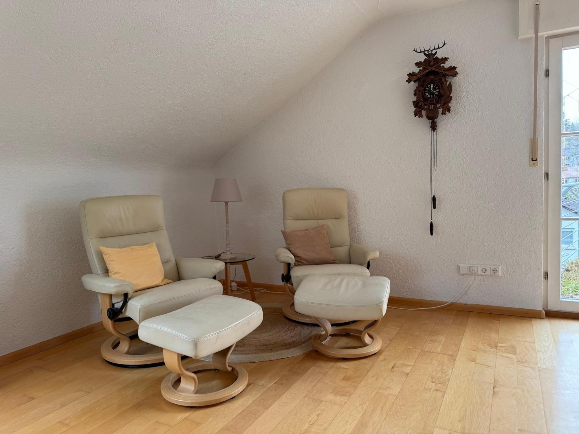 Apartment Schwarzwaldnest Lahr (Baden-Wurttemberg)