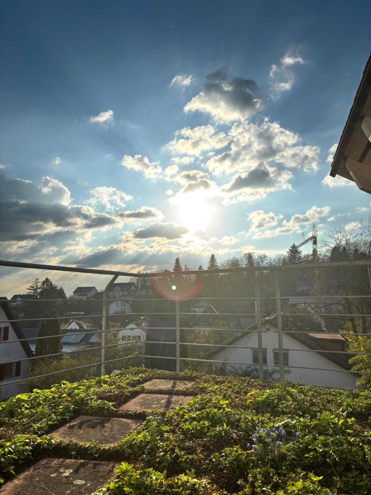 Apartment Schwarzwaldnest Lahr (Baden-Wurttemberg)